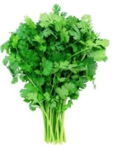 A bunch of green leaves on top of a white table.