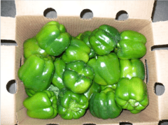 A box of green peppers sitting on top of the floor.