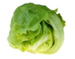 A head of lettuce is shown on the ground.