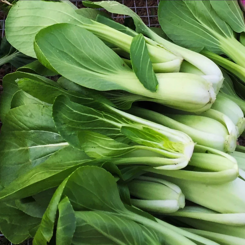 A pile of green vegetables sitting on top of each other.