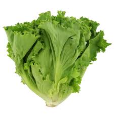 A close up of lettuce on a white background