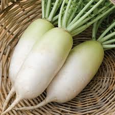 Three white turnips in a basket with some green stems.