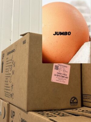Eggs Jumbo (Trung Jumbo) - 200 Count