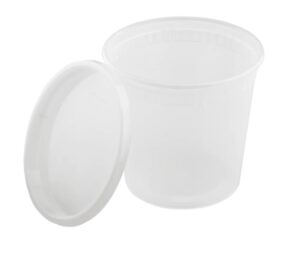 Translucent plastic food container with lid