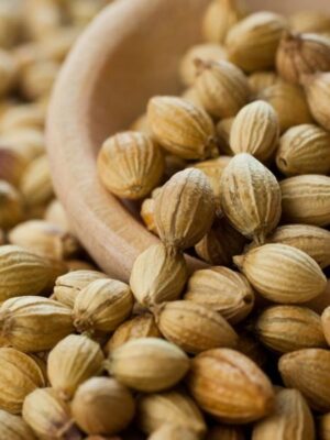 Coriander seeds in wooden spoon