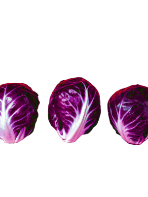 Red Cabbage - Ave.45Lbs