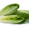 Whole Romaine Lettuce - 24ct